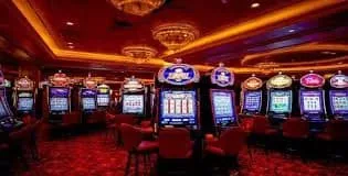 bt5555 Sportsbook